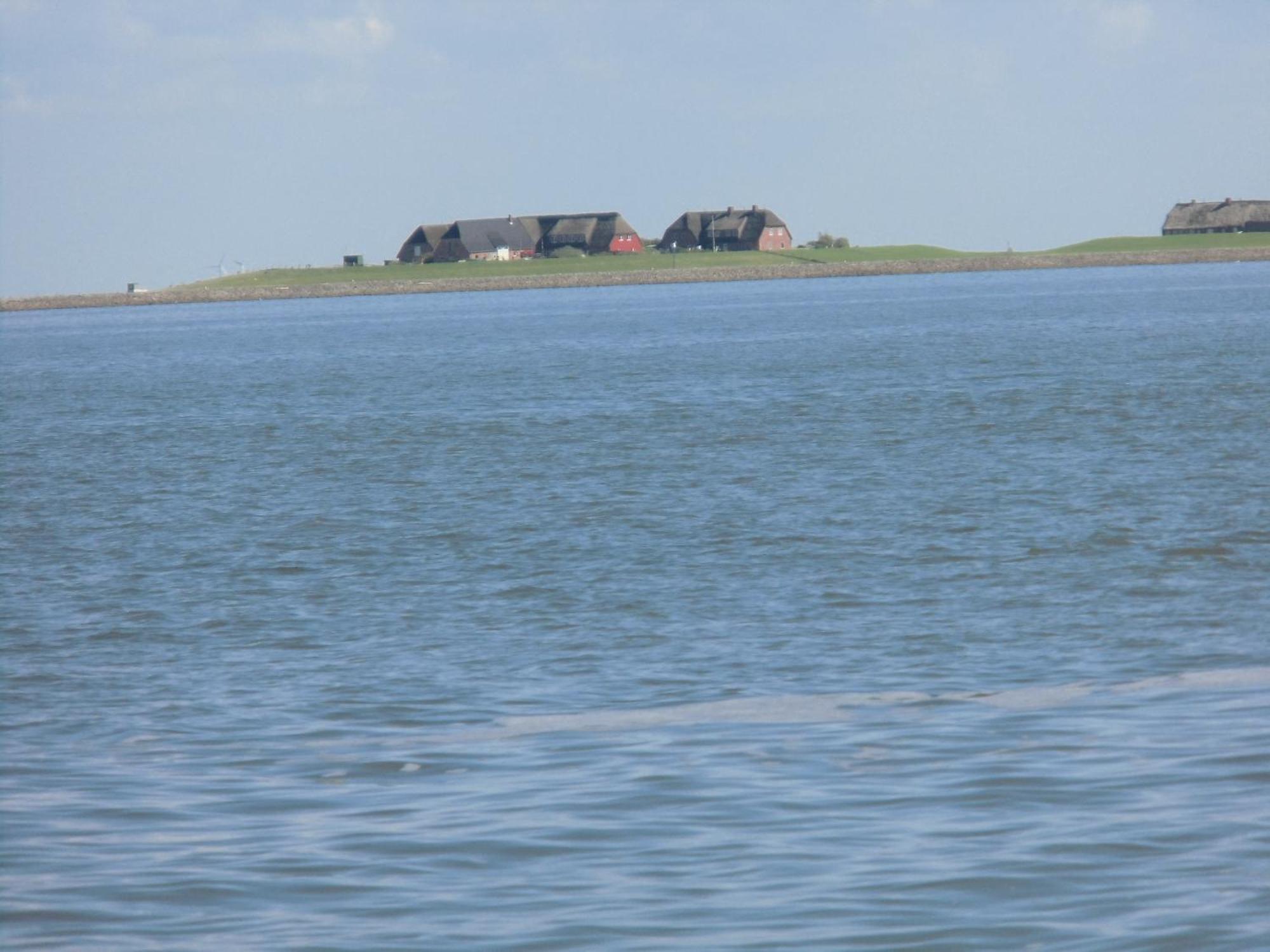 Friesenhaus Am Meer Dagebüll Εξωτερικό φωτογραφία